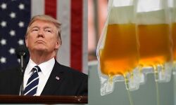 കൊവിഡ് ചികില്‍സ: പ്ലാസ്മ തെറാപ്പിക്ക് അനുമതി നല്‍കി അമേരിക്ക