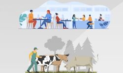 തിരികെയെത്തുന്ന പ്രവാസികൾക്ക് നോർക്കയുടെ സമഗ്ര പുനരധിവാസ പദ്ധതി; കഴിഞ്ഞവർഷം ആരംഭിച്ചത് 1043 സംരംഭങ്ങൾ തിരികെയെത്തുന്ന പ്രവാസികൾക്ക് നോർക്കയുടെ സമഗ്ര പുനരധിവാസ പദ്ധതി; കഴിഞ്ഞവർഷം ആരംഭിച്ചത് 1043 സംരംഭങ്ങൾ