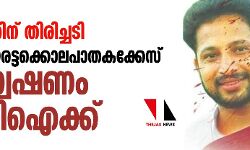 സര്‍ക്കാരിന് തിരിച്ചടി; പെരിയ ഇരട്ടക്കൊലപാതകക്കേസ് അന്വേഷണം സിബി ഐക്ക്