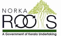തിരിച്ചെത്തിയ അമ്പതിനായിരം പ്രവാസികൾക്ക് 25 കോടി നൽകിയതായി നോർക്ക