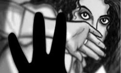 ബുദ്ധിമാന്ദ്യമുള്ള പെണ്‍കുട്ടിയെ പീഡിപ്പിച്ച സംഭവം: ശക്തമായ വകുപ്പുകള്‍ ചേര്‍ത്ത് പ്രതിക്ക് ശിക്ഷ ഉറപ്പ് വരുത്തണം