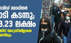 ലോകത്ത് കൊവിഡ് ബാധിതര്‍ 2.4 കോടി കടന്നു; മരണം 8.23 ലക്ഷം, വൈറസ് വ്യാപനത്തിന് അറുതിയില്ലാതെ അമേരിക്കയും ബ്രസീലും