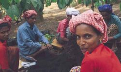 ദേശീയ ഗ്രാമീണ തൊഴിലുറപ്പ് പദ്ധതി ഭേദഗതി ബില്ല്; അല്‍പ്പസമയത്തിനകം പാര്‍ലമെന്റില്‍ അവതരിപ്പിക്കും