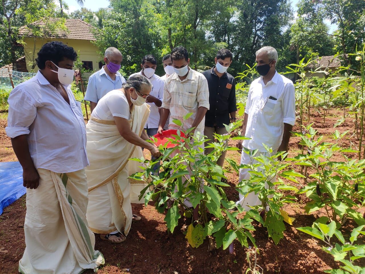 സ്പീക്കറുടെ തറവാട്ടുവളപ്പിലെ മോണിംഗ് ഫാം വിളവെടുപ്പ്