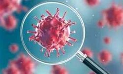 നിയമവകുപ്പിലെ അണ്ടർ സെക്രട്ടറിക്ക് കൊവിഡ് സ്ഥിരീകരിച്ചു