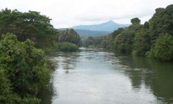 നദികളുടെ പുനരുജ്ജീവനം; കോട്ടയം ജില്ലയ്ക്ക് ദേശീയ പുരസ്‌കാരം