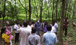 അടുപ്പില്‍ കോളനി വാസികളുടെ പുനരധിവാസം: ജനപ്രതിനിധികളും കലക്ടറും സ്ഥലം സന്ദര്‍ശിച്ചു