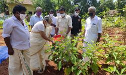 സ്പീക്കറുടെ തറവാട്ടുവളപ്പിലെ മോണിംഗ് ഫാം വിളവെടുപ്പ്