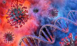 കൊവിഡ്:  രാജ്യത്ത് 24 മണിക്കൂറിനിടെ 76,472 പുതിയ കേസുകള്‍; 1021 മരണം