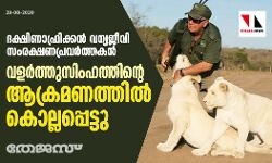 ദക്ഷിണാഫ്രിക്കന്‍ വന്യജീവി സംരക്ഷണപ്രവര്‍ത്തകന്‍ വളര്‍ത്തുസിംഹത്തിന്റെ ആക്രമണത്തില്‍ കൊല്ലപ്പെട്ടു