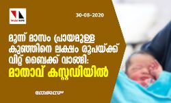 മൂന്ന് മാസം പ്രായമുള്ള കുഞ്ഞിനെ ഒരുലക്ഷം രൂപയ്ക്ക് വിറ്റ് ബൈക്ക് വാങ്ങി: മാതാവ് കസ്റ്റഡിയില്‍