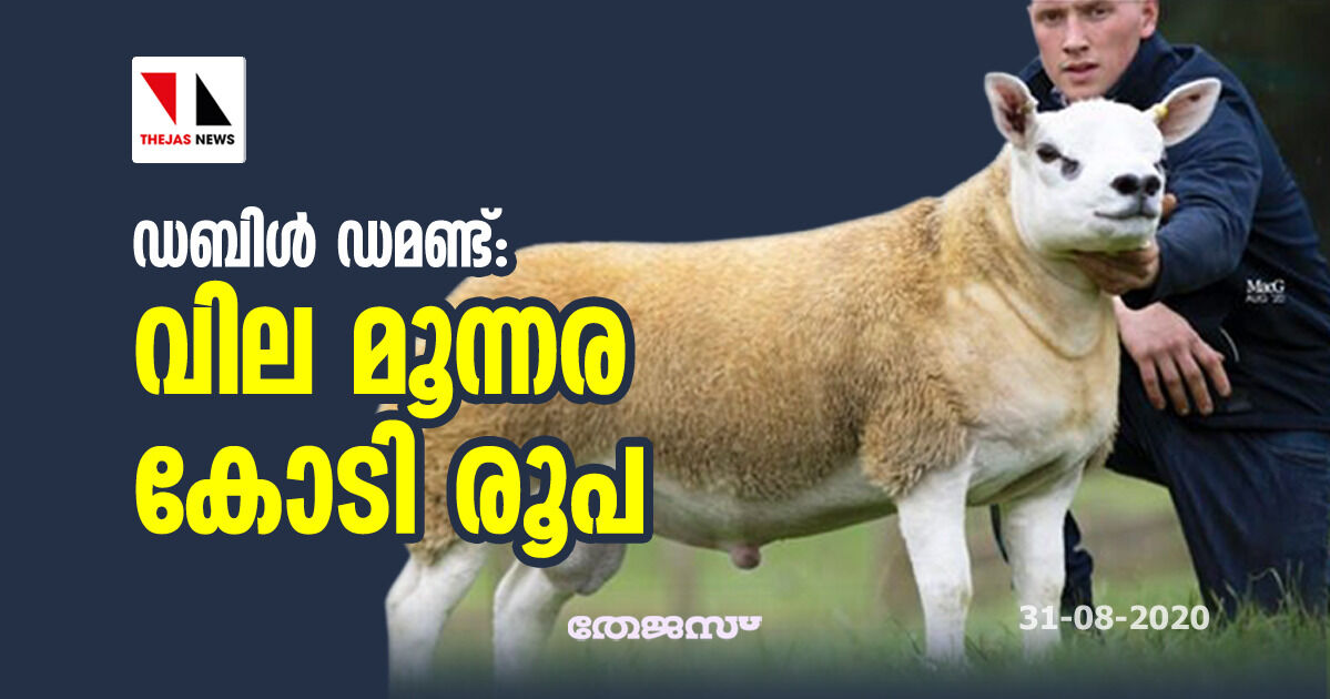 ഡബിള്‍ ഡമണ്ട്: വില മൂന്നര കോടി രൂപ