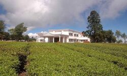 കോടനാട് എസ്‌റ്റേറ്റ് കവര്‍ച്ച: ഏഴാംപ്രതി പിടിയില്‍