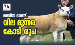 ഡബിള്‍ ഡമണ്ട്: വില മൂന്നര കോടി രൂപ