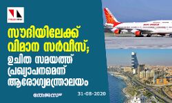 സൗദിയിലേക്ക് വിമാന സര്വീസ്: ഉചിതമായ സമയത്ത് പ്രഖ്യാപനമെന്ന് ആരോഗ്യമന്ത്രാലയം സൗദിയിലേക്ക് വിമാന സര്വീസ്: ഉചിതമായ സമയത്ത് പ്രഖ്യാപനമെന്ന് ആരോഗ്യമന്ത്രാലയം