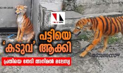 പട്ടിയെ കടുവ ആക്കി: പ്രതിയെ തേടി അനിമല്‍ മലേസ്യ