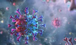 ആലപ്പുഴ ജില്ലയില്‍ ഇന്ന് 87 പേര്‍ക്ക് കൊവിഡ്