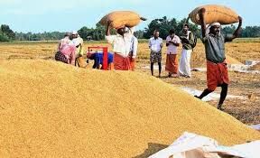 കൊവിഡ് ജാഗ്രതയുടെ ഭാഗമായി നെല്ലു സംഭരണ രജിസ്ട്രേഷനിൽ സപ്ലൈകോ കൂടുതൽ ഇളവുകൾ ഏർപ്പെടുത്തി