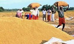 കൊവിഡ് ജാഗ്രതയുടെ ഭാഗമായി നെല്ലു സംഭരണ രജിസ്ട്രേഷനിൽ സപ്ലൈകോ കൂടുതൽ ഇളവുകൾ ഏർപ്പെടുത്തി