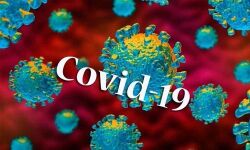 പത്തിലധികം പേര്ക്ക് കൊവിഡ്; കോട്ടയത്തെ രണ്ട് സ്ഥാപനങ്ങള് ഇന്സ്റ്റിറ്റിയൂഷനല് ക്ലസ്റ്ററുകളായി പ്രഖ്യാപിച്ചു പത്തിലധികം പേര്ക്ക് കൊവിഡ്; കോട്ടയത്തെ രണ്ട് സ്ഥാപനങ്ങള് ഇന്സ്റ്റിറ്റിയൂഷനല് ക്ലസ്റ്ററുകളായി പ്രഖ്യാപിച്ചു