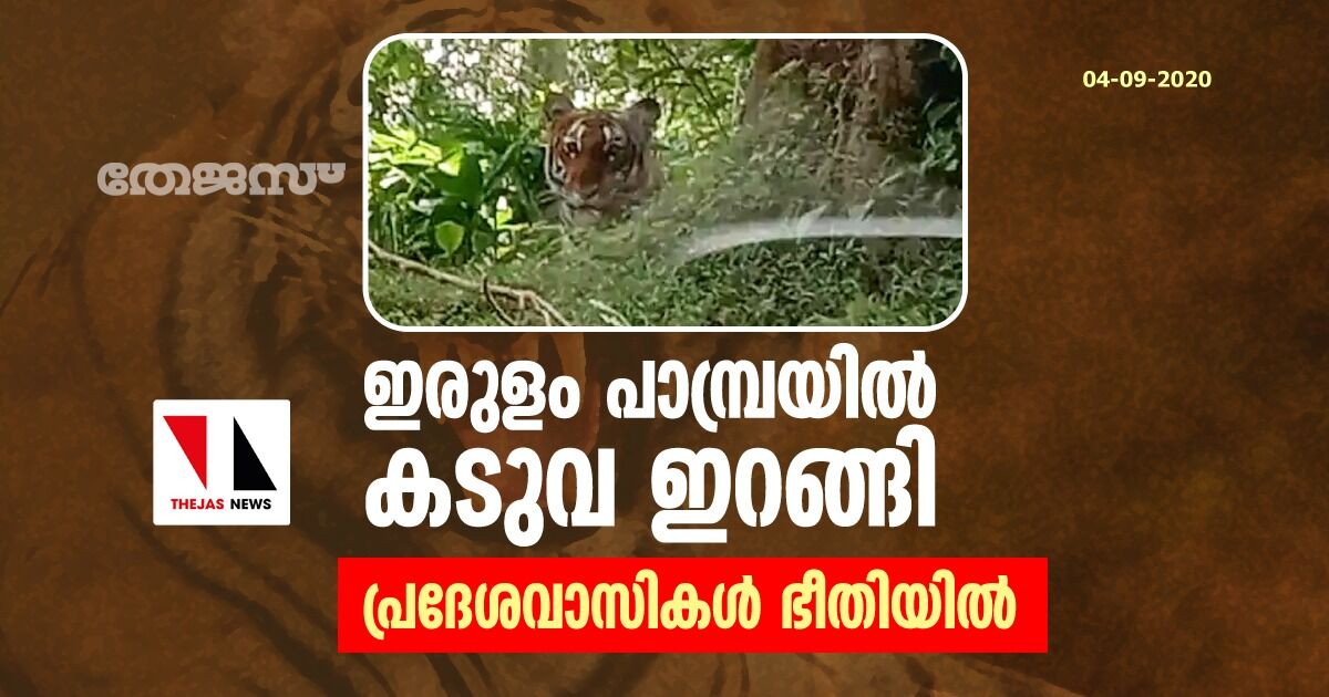 ഇരുളം പാമ്പ്രയില്‍ കടുവ ഇറങ്ങി: പ്രദേശവാസികള്‍ ഭീതിയില്‍