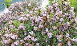 เดคเตเดฃเตเดเดฟเดฎเดฒเดฏเดฟเดฒเตโ เดตเดธเดจเตเดคเด เดตเดฟเดฐเดฟเดฏเดฟเดเตเดเต เดเตเดฑเดฟเดเตเดเดฟ เดชเตเดเตเดเดณเตโ: เดตเดฟเดฒเตเดฒเดจเดพเดฏเดฟ เดเตเดตเดฟเดกเต เดคเตเดฃเตเดเดฟเดฎเดฒเดฏเดฟเดฒเตโ เดตเดธเดจเตเดคเด เดตเดฟเดฐเดฟเดฏเดฟเดเตเดเต เดเตเดฑเดฟเดเตเดเดฟ เดชเตเดเตเดเดณเตโ: เดตเดฟเดฒเตเดฒเดจเดพเดฏเดฟ เดเตเดตเดฟเดกเต