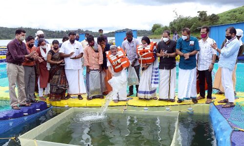 ബാണാസുര സാഗര്‍ അണക്കെട്ടില്‍ കൂട് മത്സ്യകൃഷി പദ്ധതി തുടങ്ങി