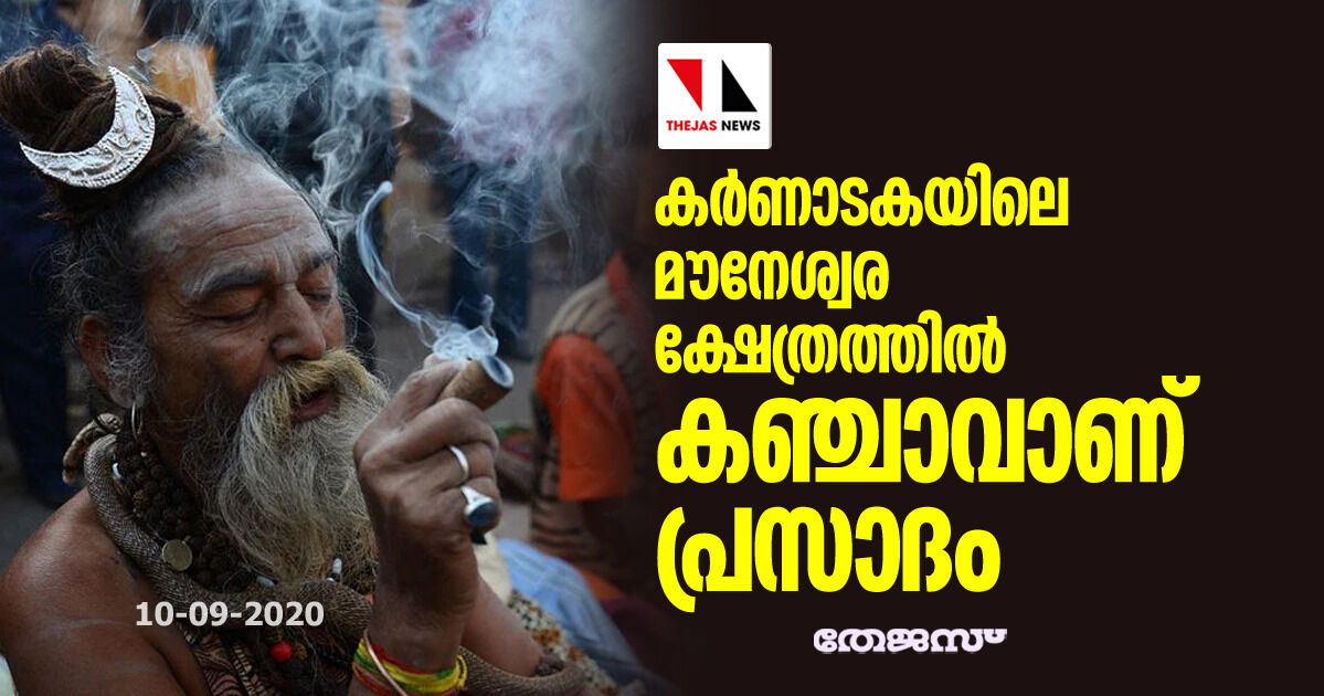 കര്‍ണാടകയിലെ മൗനേശ്വര ക്ഷേത്രത്തില്‍ കഞ്ചാവാണ് പ്രസാദം