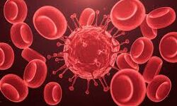 തൃശൂര്‍ ജില്ലയില്‍ 300 പേര്‍ക്ക്  കൊവിഡ്; 83 പേര്‍ക്ക് രോഗമുക്തി