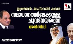 ഇസ്രയേല്‍-ബഹ്‌റെയ്ന്‍ കരാര്‍: സമാധാനത്തിലേക്കുള്ള ചുവട്‌വയ്‌പ്പെന്ന് അല്‍സിസി