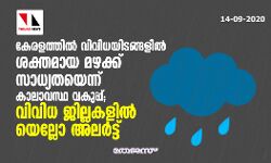 കേരളത്തില്‍ വിവിധയിടങ്ങളില്‍ ശക്തമായ മഴയ്ക്ക് സാധ്യതയെന്ന് കാലാവസ്ഥ വകുപ്പ്;വിവിധ ജില്ലകളില്‍  യെല്ലോ അലര്‍ട്ട്
