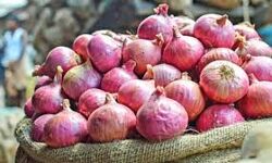 ഉള്ളി കയറ്റുമതി നിരോധിച്ച് കേന്ദ്രം