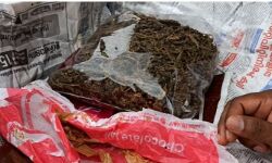 കാറില് കഞ്ചാവ് കടത്തിയ മൂന്നംഗ സംഘം പിടിയില് കാറില് കഞ്ചാവ് കടത്തിയ മൂന്നംഗ സംഘം പിടിയില്