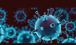 ആലപ്പുഴ ജില്ലയില് ഇന്ന് 323 പേര്ക്ക് കൊവിഡ് ആലപ്പുഴ ജില്ലയില് ഇന്ന് 323 പേര്ക്ക് കൊവിഡ്