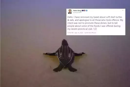 ആമയിറച്ചി കഴിച്ച ആസ്‌ട്രേലിയന്‍ നയതന്ത്രജ്ഞനെതിരേ കംബോഡിയയില്‍ പ്രതിഷേധം