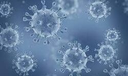 കണ്ണൂരില്‍ 330 കൊവിഡ് കേസുകള്‍; 281 പേര്‍ക്ക് സമ്പര്‍ക്കത്തിലൂടെ