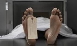 പാലക്കാട് ജില്ലാ ആശുപത്രിയില് മൃതദേഹം മാറി നല്കി : അറിഞ്ഞത് സംസ്ക്കരിച്ചതിനു ശേഷം പാലക്കാട് ജില്ലാ ആശുപത്രിയില് മൃതദേഹം മാറി നല്കി : അറിഞ്ഞത് സംസ്ക്കരിച്ചതിനു ശേഷം