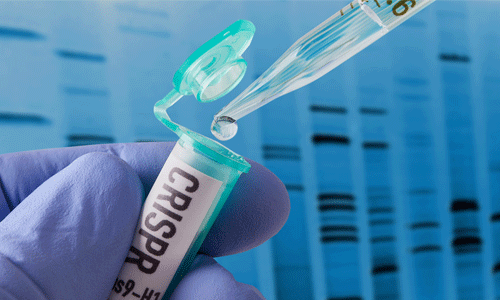 കൊവിഡ് പരിശോധനയ്ക്ക് പുതിയ സാങ്കേതിക വിദ്യയുമായി ടാറ്റാ ഗ്രൂപ്പ് കൊവിഡ് പരിശോധനയ്ക്ക് പുതിയ സാങ്കേതിക വിദ്യയുമായി ടാറ്റാ ഗ്രൂപ്പ്