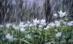 സംസ്ഥാനത്ത് അതിശക്തമായ മഴയ്ക്ക് സാധ്യത; അഞ്ചു ജില്ലകളില്‍ ഓറഞ്ച് അലര്‍ട്ട്, മറ്റു ജില്ലകളില്‍ യെല്ലോ അലര്‍ട്ട്