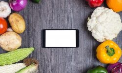 കാര്‍ഷിക വിളകള്‍ വാങ്ങാന്‍ സുഭിക്ഷ കെഎസ്ഡി ആപ്പുമായി കാസര്‍കോഡ് ജില്ലാ ഭരണകൂടം