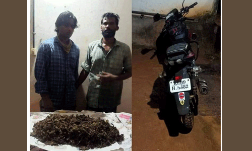 പേരാവൂരില്‍ കഞ്ചാവുമായി രണ്ട് യുവാക്കള്‍ അറസ്റ്റില്‍