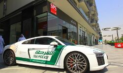 ദുബയില്‍ കോവിഡ് നിയമം ലംഘിച്ച് പാര്‍ട്ടി യുവതിക്ക് 10,000 ദിര്‍ഹം പിഴ