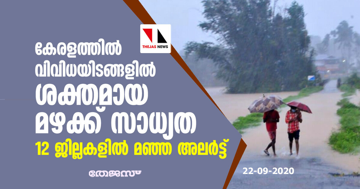 കേരളത്തിൽ ശക്തമായ മഴയ്ക്ക് സാധ്യത; 12 ജില്ലകളിൽ മഞ്ഞ അലർട്ട് കേരളത്തിൽ ശക്തമായ മഴയ്ക്ക് സാധ്യത; 12 ജില്ലകളിൽ മഞ്ഞ അലർട്ട്