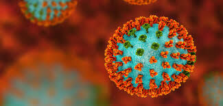 വയനാട്ടില് ഇന്ന് 81 പേര്ക്ക് കൂടി കൊവിഡ്; 61 പേര്ക്കു രോഗമുക്തി വയനാട്ടില് ഇന്ന് 81 പേര്ക്ക് കൂടി കൊവിഡ്; 61 പേര്ക്കു രോഗമുക്തി