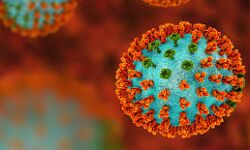 വയനാട്ടില്‍ ഇന്ന് 81 പേര്‍ക്ക് കൂടി കൊവിഡ്; 61 പേര്‍ക്കു രോഗമുക്തി