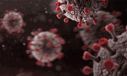 ആലപ്പുഴ നഗരസഭയില്‍ കൊവിഡ് രോഗികള്‍ വര്‍ധിക്കുന്നു;പ്രതിരോധം ശക്തമാക്കുമെന്ന് ജില്ലാ കലക്ടര്‍