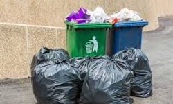 മാള പഞ്ചായത്തില് മാലിന്യങ്ങള് ശേഖരിക്കുന്നു മാള പഞ്ചായത്തില് മാലിന്യങ്ങള് ശേഖരിക്കുന്നു