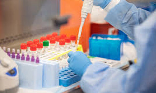 മഹാരാഷ്ട്ര ജയിലുകളില് 2,061 തടവുകാര്ക്ക് കൊവിഡ്; രോഗബാധിതരില് 421 ജയില് ജീവനക്കാരും മഹാരാഷ്ട്ര ജയിലുകളില് 2,061 തടവുകാര്ക്ക് കൊവിഡ്; രോഗബാധിതരില് 421 ജയില് ജീവനക്കാരും