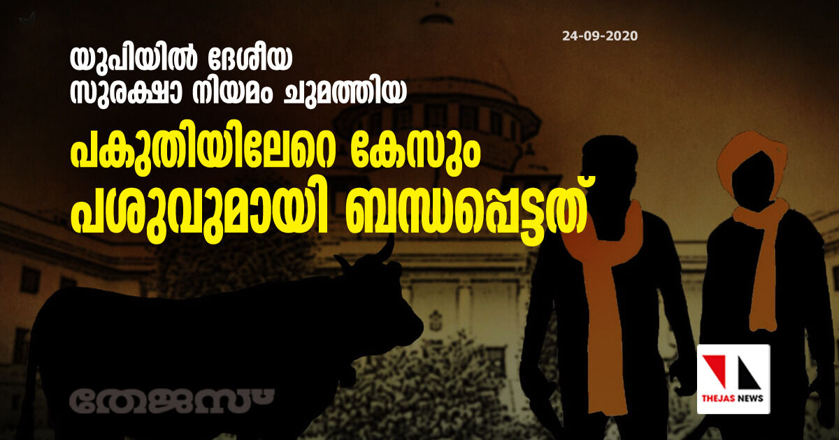 യുപിയില്‍ ദേശീയ സുരക്ഷാ നിയമം ചുമത്തിയ പകുതിയിലേറെ കേസും പശുവുമായി ബന്ധപ്പെട്ടത്