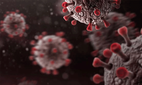 പാലക്കാട് ജില്ലയില് ഇന്ന് 353 പേര്ക്ക് കൊവിഡ്; 114 പേര്ക്ക് രോഗമുക്തി പാലക്കാട് ജില്ലയില് ഇന്ന് 353 പേര്ക്ക് കൊവിഡ്; 114 പേര്ക്ക് രോഗമുക്തി